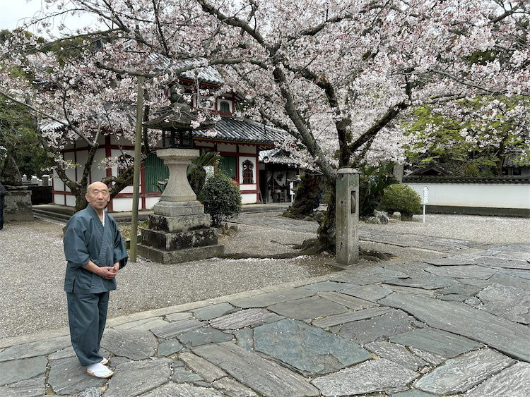 Kokawa-dera Tempel mit Kirschblüte