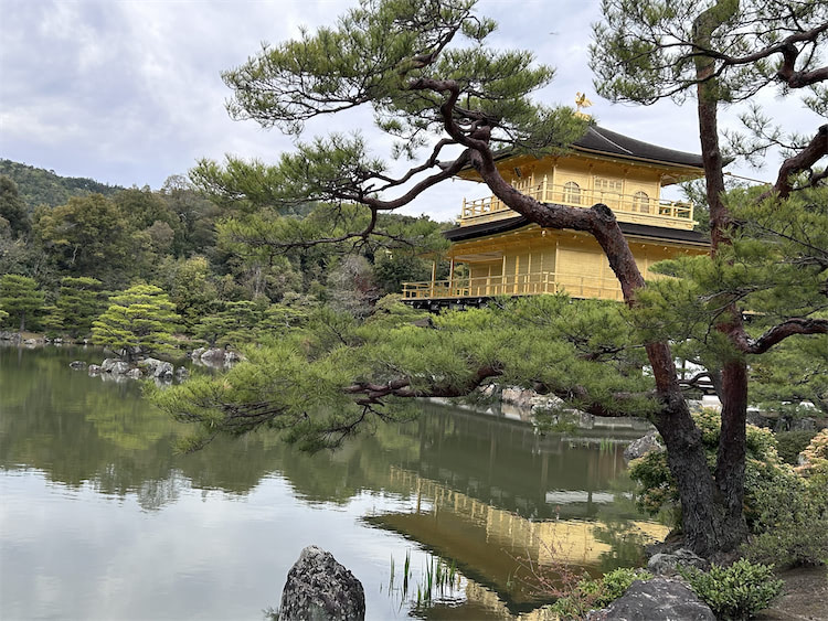 Kinkaku-ji, der Goldene Pavillon in Kyoto